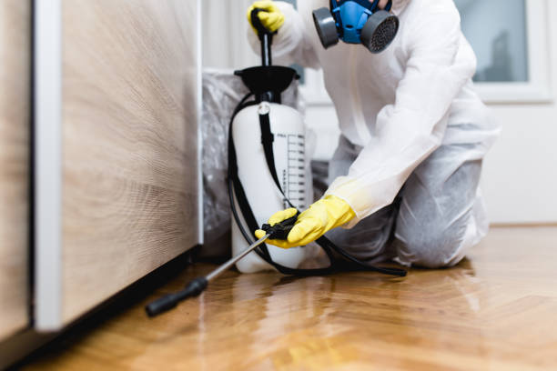 Best Exterminator Services  in Cottage Grove, OR